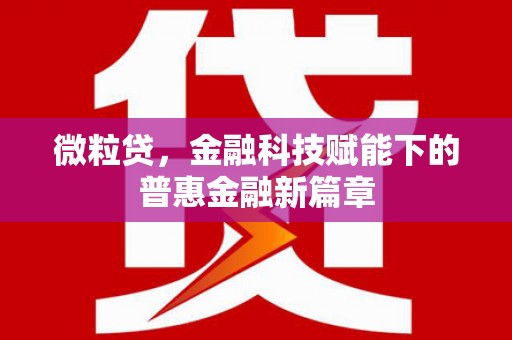 望安微粒贷，金融科技赋能下的普惠金融新篇章