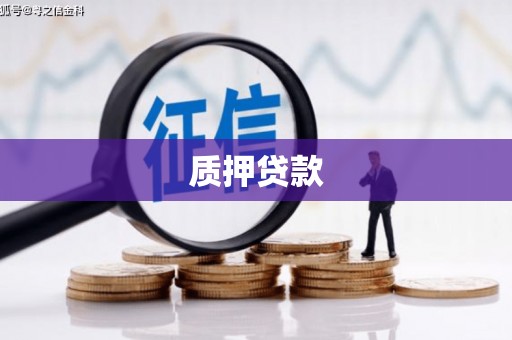 上林质押贷款