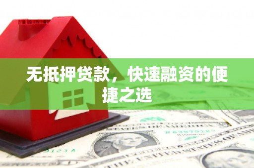 乐亭无抵押贷款，快速融资的便捷之选