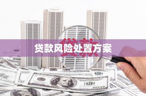 五桂山贷款风险处置方案