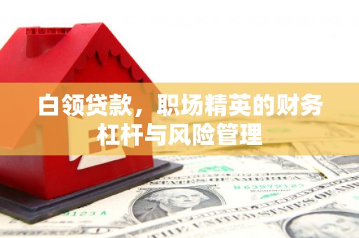 高平白领贷款，职场精英的财务杠杆与风险管理