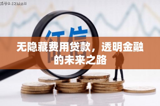 彝良无隐藏费用贷款，透明金融的未来之路
