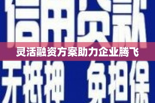 林甸灵活融资方案助力企业腾飞