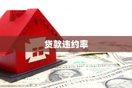 乐亭贷款违约率
