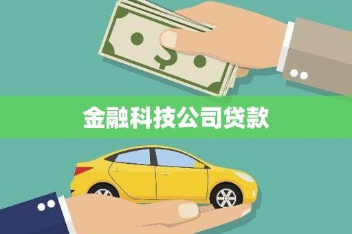 威宁金融科技公司贷款