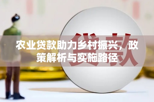 大溪农业贷款助力乡村振兴，政策解析与实施路径