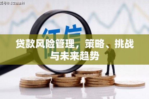 肃州贷款风险管理，策略、挑战与未来趋势