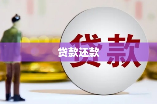 凤泉贷款还款