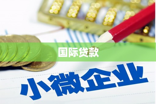 岳阳楼国际贷款