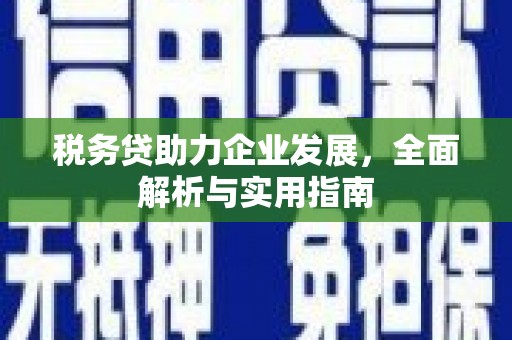大林税务贷助力企业发展，全面解析与实用指南