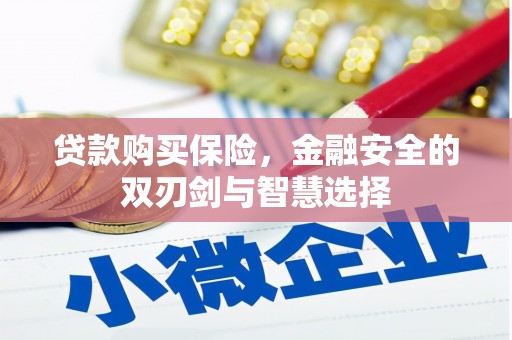 府谷贷款购买保险，金融安全的双刃剑与智慧选择
