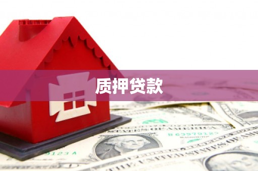 宜良质押贷款