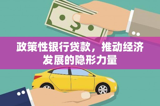 洮北政策性银行贷款，推动经济发展的隐形力量
