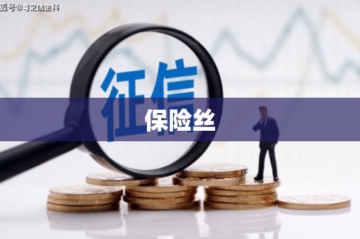 徐水保险丝