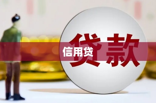 柳东信用贷