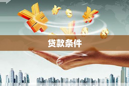 源汇贷款条件