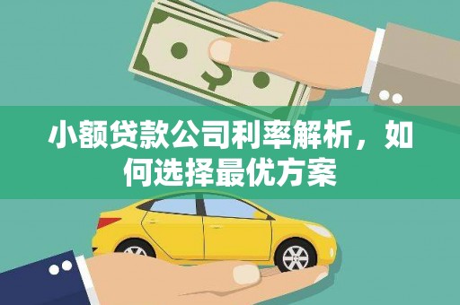 宿松小额贷款公司利率解析，如何选择最优方案