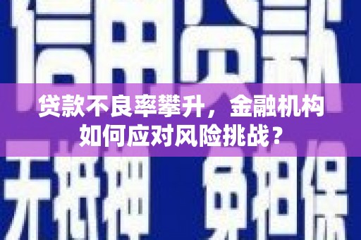 乌伊岭贷款不良率攀升，金融机构如何应对风险挑战？