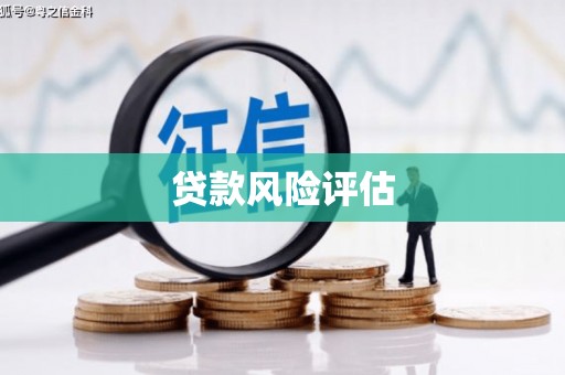 靖州贷款风险评估