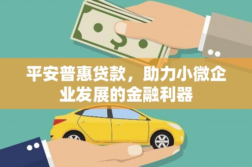 竹崎平安普惠贷款，助力小微企业发展的金融利器