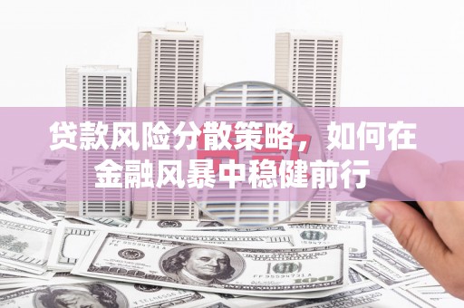 萍乡贷款风险分散策略，如何在金融风暴中稳健前行