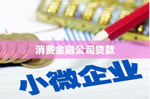 德清消费金融公司贷款