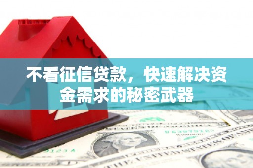 左镇不看征信贷款，快速解决资金需求的秘密武器