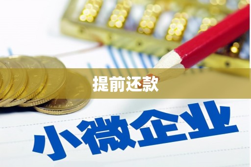 剑阁提前还款