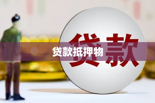 贞丰贷款抵押物