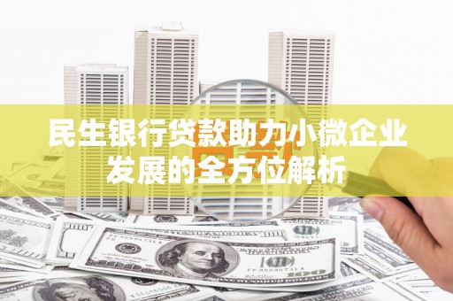 蒲城民生银行贷款助力小微企业发展的全方位解析
