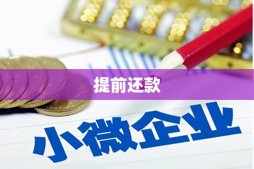 岷县提前还款