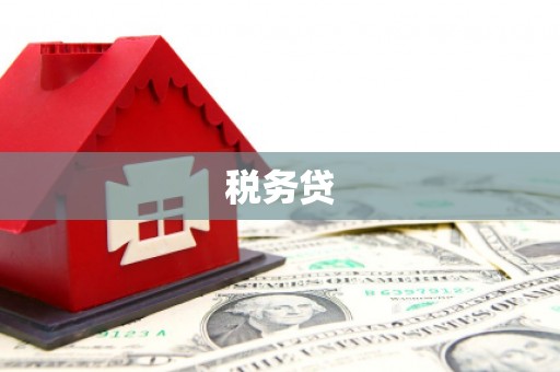 工布江达税务贷