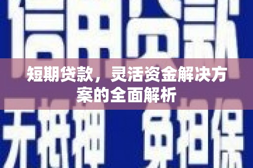 壮围短期贷款，灵活资金解决方案的全面解析