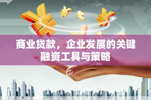 利通商业贷款，企业发展的关键融资工具与策略