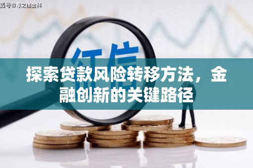 埔心探索贷款风险转移方法，金融创新的关键路径