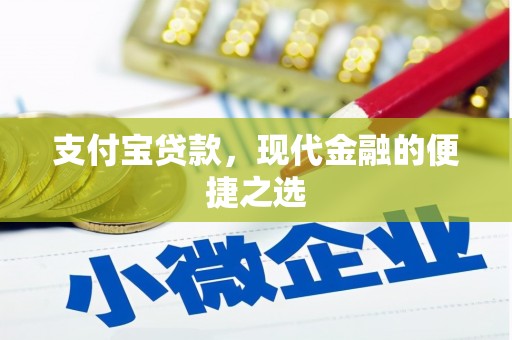 绥滨支付宝贷款，现代金融的便捷之选