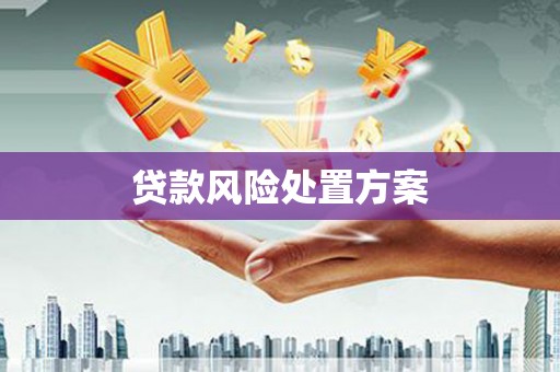 潭子贷款风险处置方案