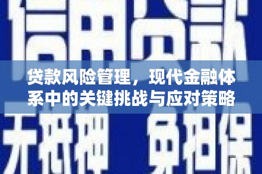 梧栖贷款风险管理，现代金融体系中的关键挑战与应对策略