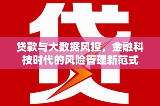 和静贷款与大数据风控，金融科技时代的风险管理新范式