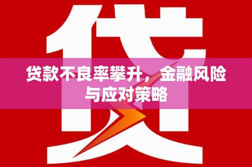 碑林贷款不良率攀升，金融风险与应对策略