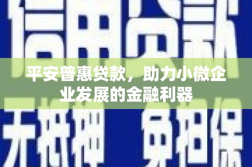 隆回平安普惠贷款，助力小微企业发展的金融利器