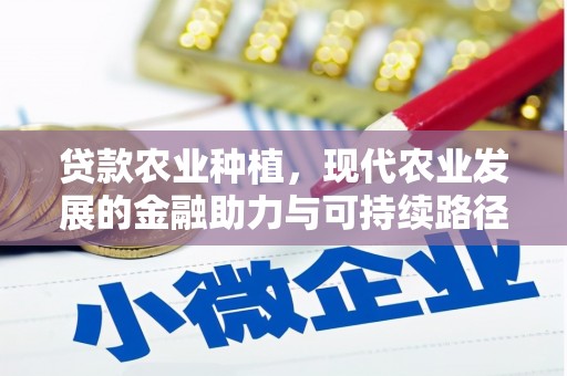 中埔贷款农业种植，现代农业发展的金融助力与可持续路径