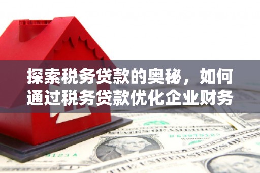 天门探索税务贷款的奥秘，如何通过税务贷款优化企业财务