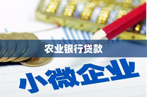 林园农业银行贷款
