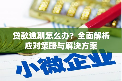 沈北新区贷款逾期怎么办？全面解析应对策略与解决方案