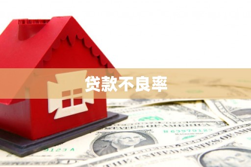 小金贷款不良率