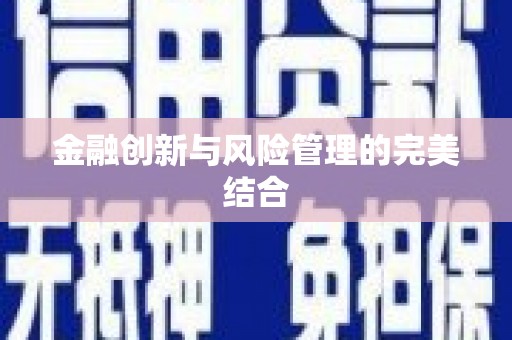 阜城金融创新与风险管理的完美结合
