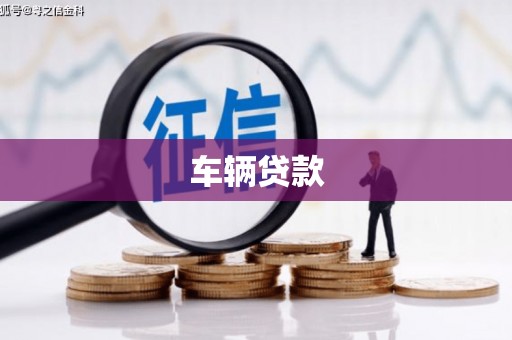 阜南车辆贷款