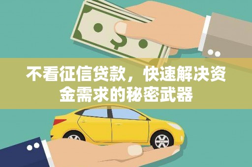 四湖不看征信贷款，快速解决资金需求的秘密武器