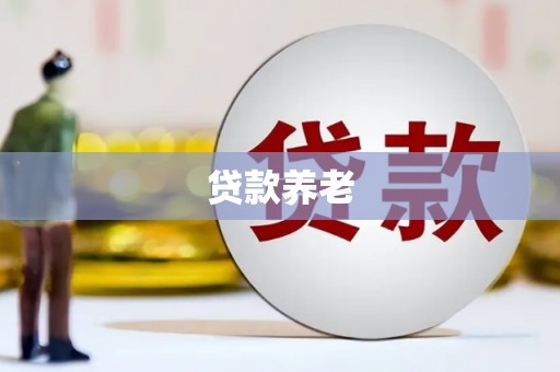 芬园贷款养老